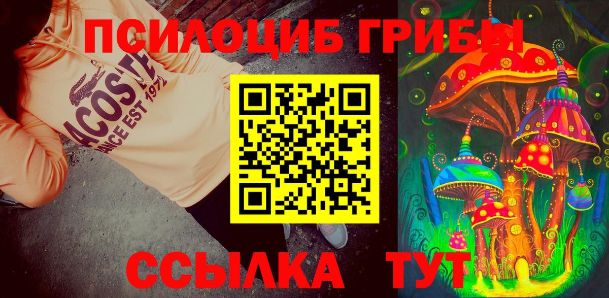 Псилоцибиновые грибы мухоморы Звенигород