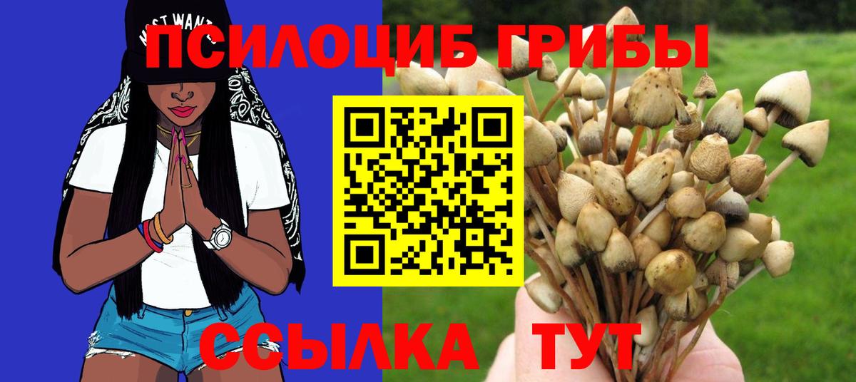 Галлюциногенные грибы Psilocybe  Псилоцибиновые грибы GOLDEN TEACHER  Звенигород  Вход с VPN 